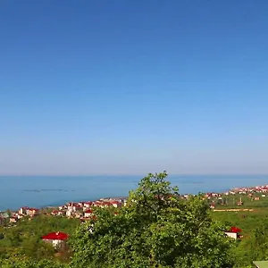  فيلة Stone Village
